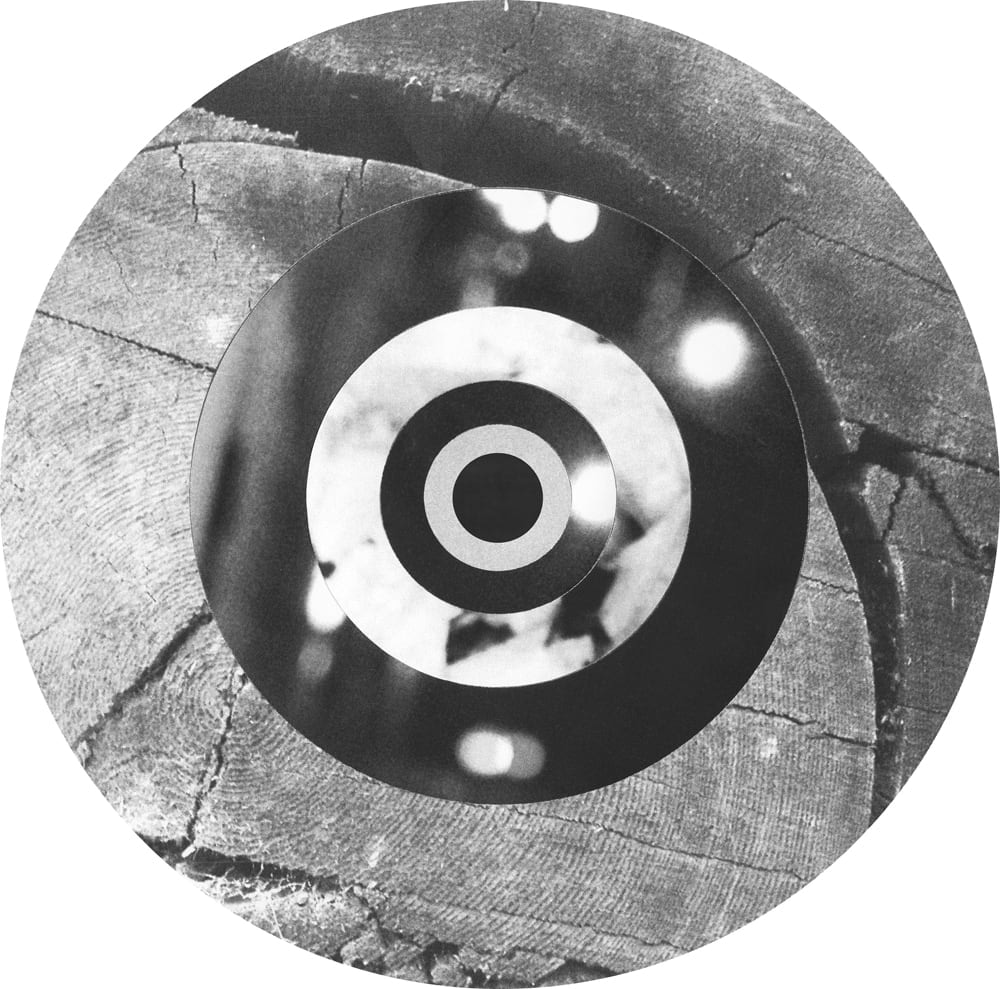 Halftone Visions project: concentric black-and-white photographic rings combining wood grain and blurred highlights.